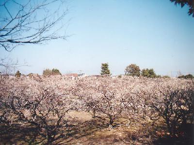 �~�ь����p�[�g�T