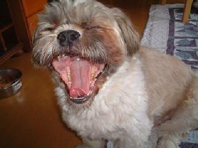 �Ȃ�قǁI�͔n���̗R���ł��ˁB